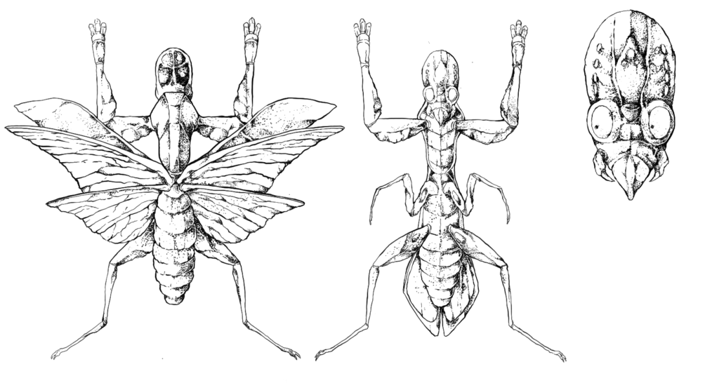 SCP-3999